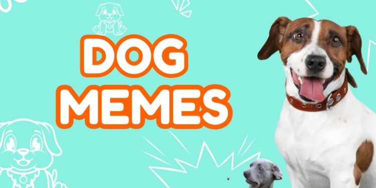 Dog Memes