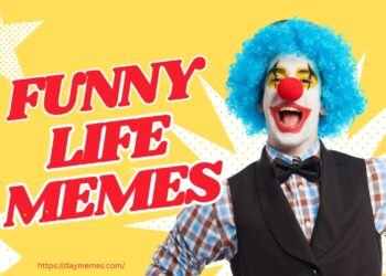 Funny Life Memes Funny Life Memes