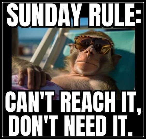 Funny-sunday-memes-GIF