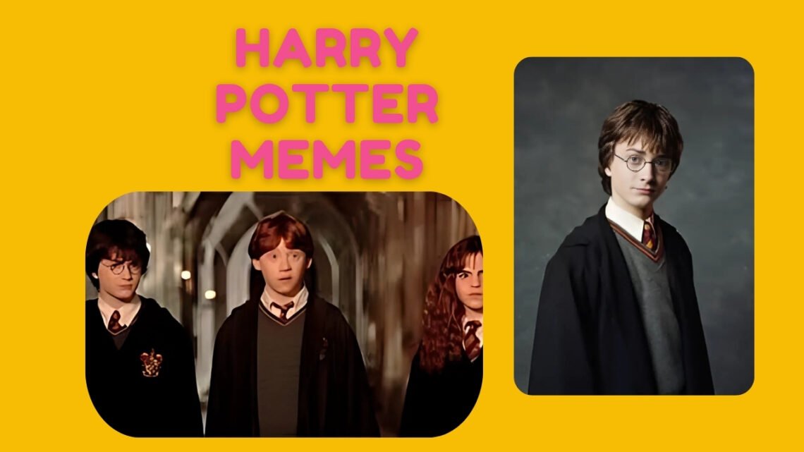 95+ Harry Potter Memes That Will Have You Laughing Like a Muggle Harry Potter Memes