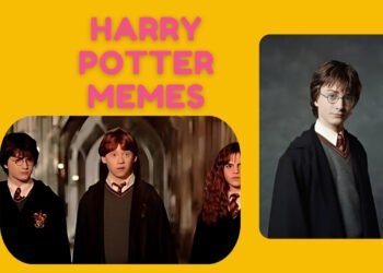 Harry Potter Memes