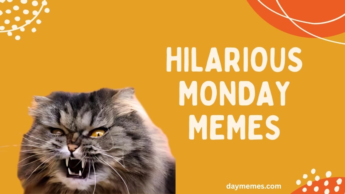 Start Your Week Right with These Hilarious Monday Memes Hilarious Monday Memes