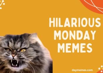 Hilarious Monday Memes