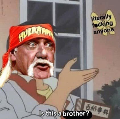 Hulk-hogan-memes-13-20250724 hulk hogan memes