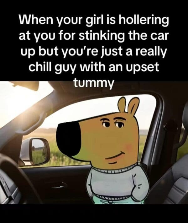 Im-just-a-chill-guy-memes-20-20241120-600x713