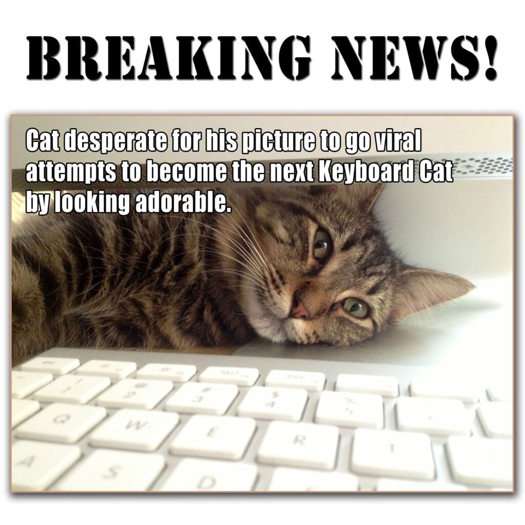 KeyboardKizmet2