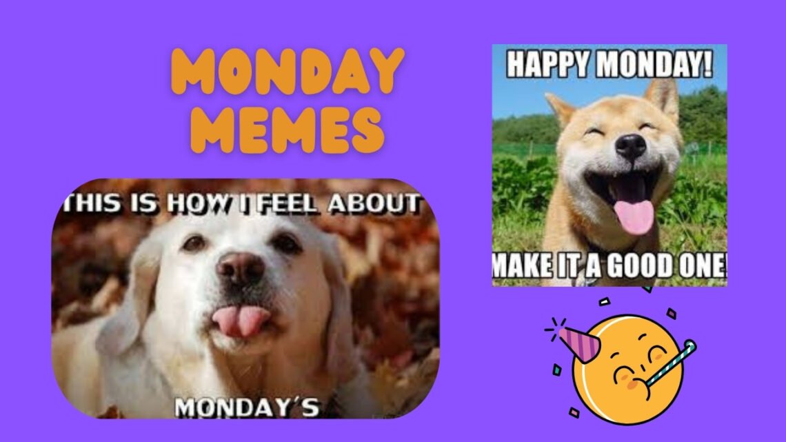 185+ Monday Memes That Will Make Your Week Better Monday Memes
