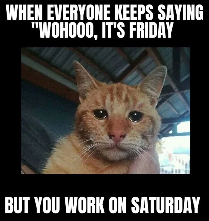 Saturday-memes-2-66e91c2d0d61f__700