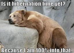 Weekend Memes