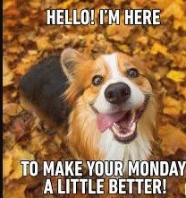 Screenshot 2025-07-11 125211 Motivational Monday Memes