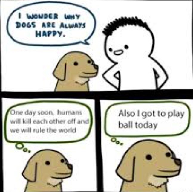 Screenshot 2025-07-15 101716 Dog Memes