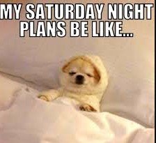 Screenshot 2025-07-16 152348 Saturday Memes