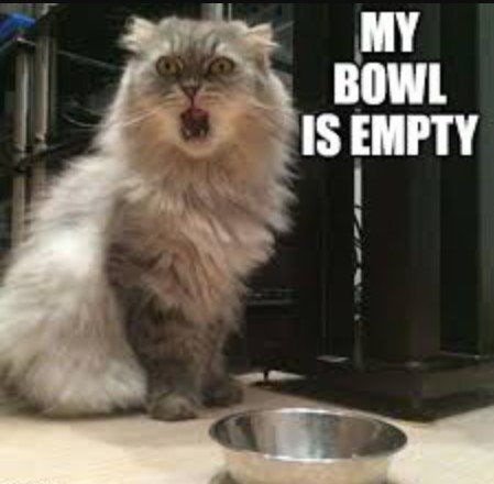 Screenshot 2025-07-24 092640 Sad Cat Memes