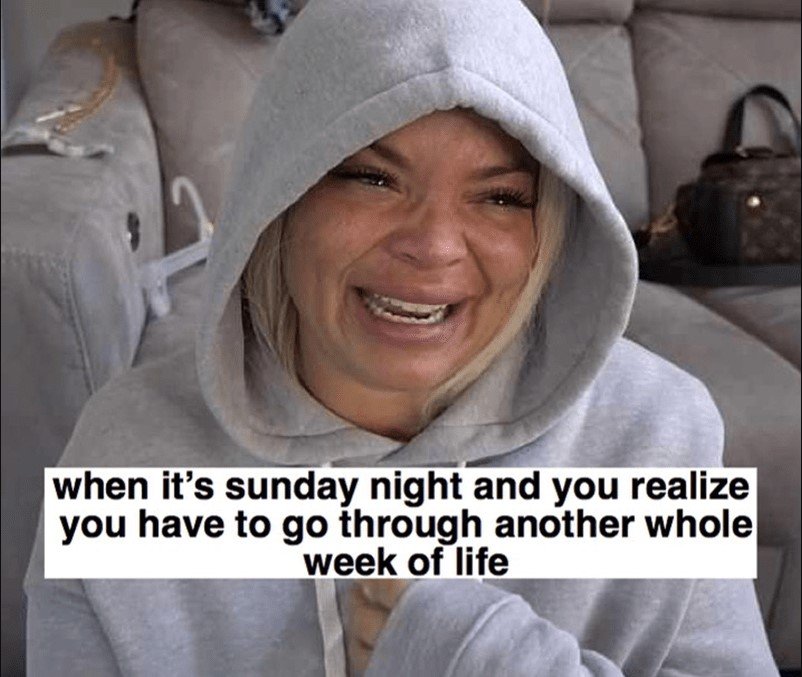 Screenshot 2025-07-24 111942 Trisha Paytas Memes