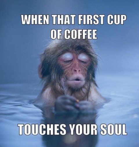 Screenshot 2025-07-25 093800 Hilarious Monday Memes