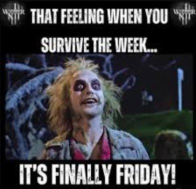 Screenshot 2025-07-25 101613 hilarious monday memes