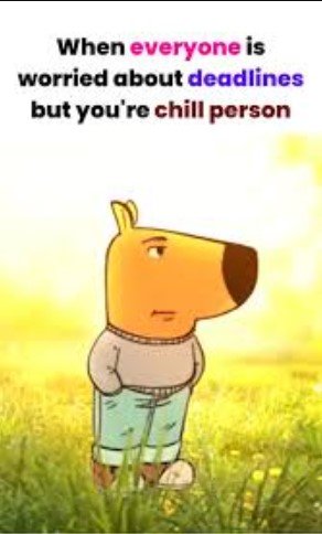 Screenshot 2025-07-25 115353 chill guy memes