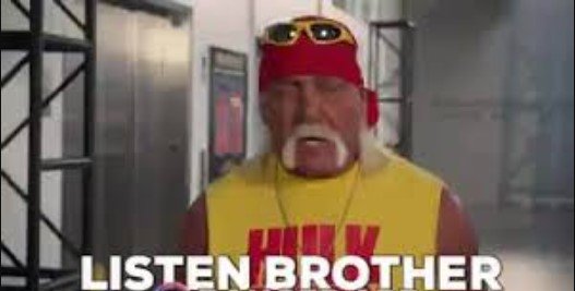 Screenshot 2025-07-25 144341 hulk hogan memes
