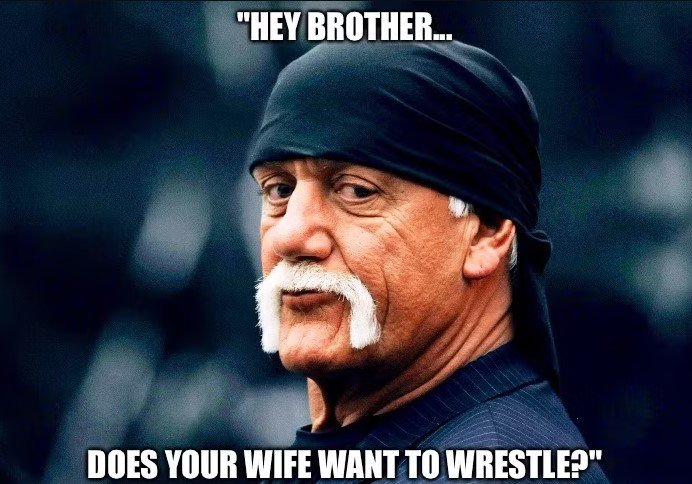 Screenshot 2025-07-25 144840 hulk hogan memes