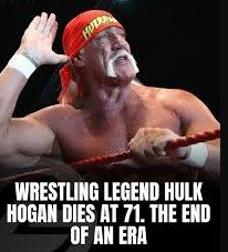 Screenshot 2025-07-25 144942 hulk hogan memes