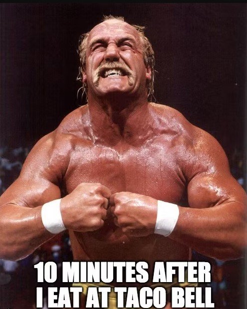 Screenshot 2025-07-25 145759 hulk hogan memes