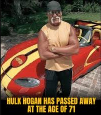 Screenshot 2025-07-25 150353 hulk hogan memes