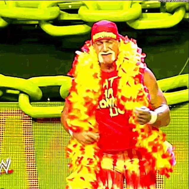Screenshot 2025-07-25 150613 hulk hogan memes