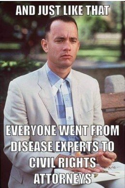 Screenshot 2025-07-25 160437 Forrest Gump Memes