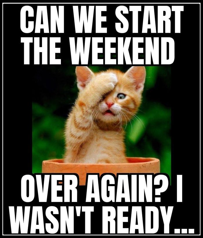 Sunday-memes-12-66d1c22cdccf2__700