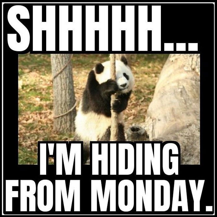 Sunday-memes-25-66d1c248653be__700