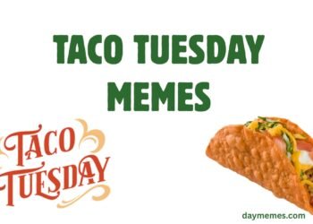 Taco Tuesday Memes