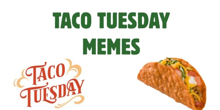 Taco Tuesday Memes