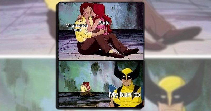 a-reheated-plate-of-leftover-food-memes-for-microwave-connoisseur