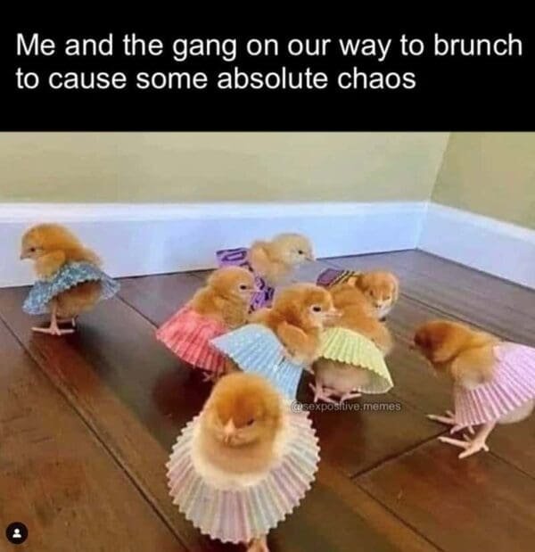 brunch-memes-9-20240812-600x619