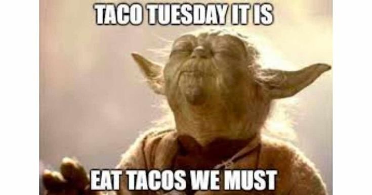 tuesday memes