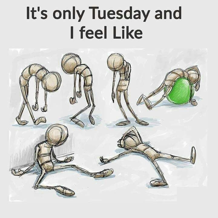c9189679b960116a584f5475c2a62354 Funny Tuesday Memes