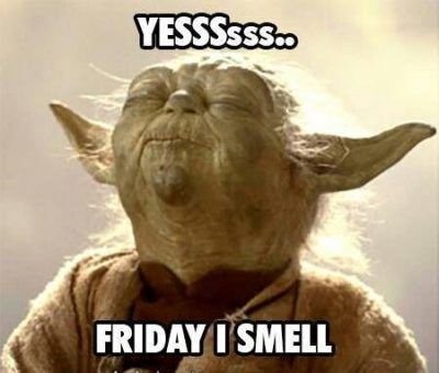 ca1c8b30b04f3592483636ed08d32245 tgif memes