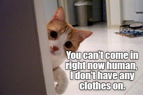 cant-come-right-now-human-dont-have-any-clothes-on Cat Memes