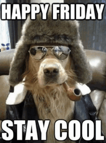 cool-dog tgif memes