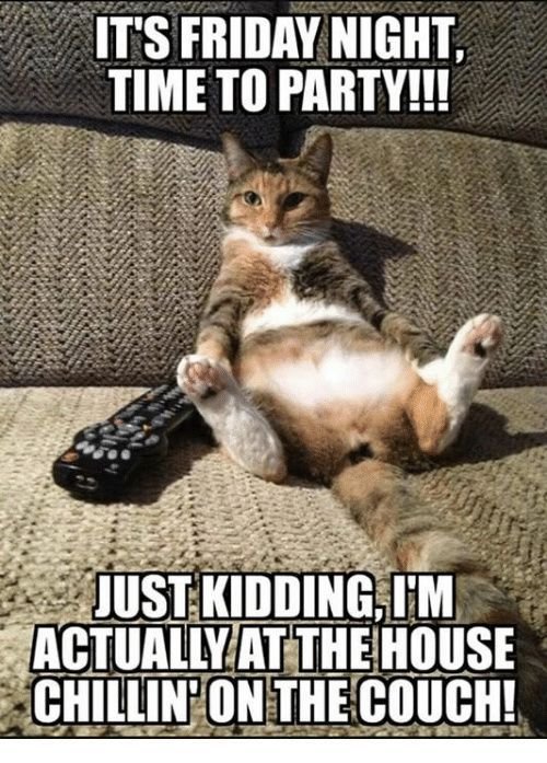 d1f2d090b6351342abc364362c876577 tgif memes