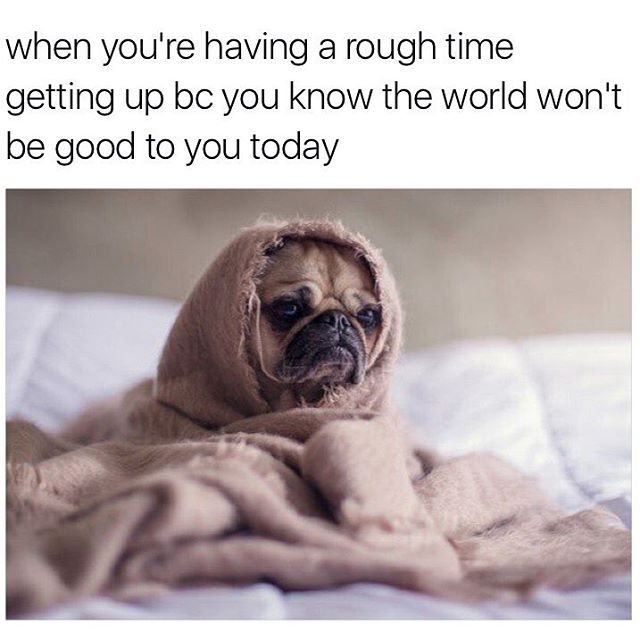 d7fb9dfb1eec7f8a2767939b7fdf4891 Hilarious Monday Memes