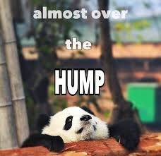 download 1 Happy Wednesday Memes