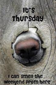 Funny Thursday Memes