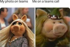 download 1 Funny Birthday Memes