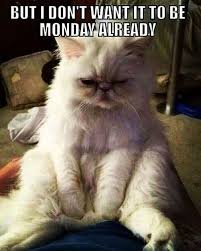 download 1 happy monday memes