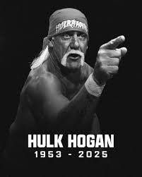 download 1 hulk hogan memes