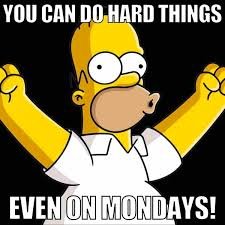 download Funny Life Memes
