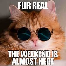 download Friday Memes