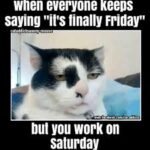Weekend Memes: 50+ Funny Posts to Brighten Your Days Off