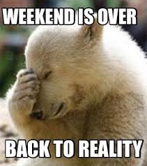 Sunday Memes